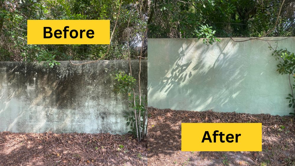 Slide of Peacock Window Cleaning & Pressure Cleaning