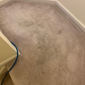 Shamrock Carpet & Upholstery Cleaning - Before cleaning ~ extremely dirty and some wine spots on basement staircase landing - Carpet Cleaning Near Me - Baldwin, Maryland Shamrock Carpet & Upholstery Cleaning - Before cleaning ~ extremely dirty and some wine spots on basement staircase landing - Carpet Cleaning Near Me - Baldwin, Maryland