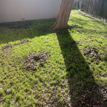 J B Lawn Maintenance  - Before - Lawn Services Near Me