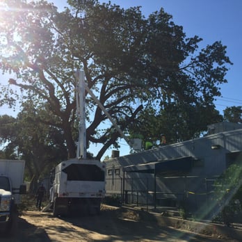 Central Valley Landscape & Tree - We have the proper equipment to get the job done safely and economically. - Tree Services Near Me - Modesto, California Central Valley Landscape & Tree - We have the proper equipment to get the job done safely and economically. - Tree Services Near Me - Modesto, California