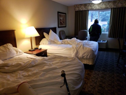 red lion hotel pillows