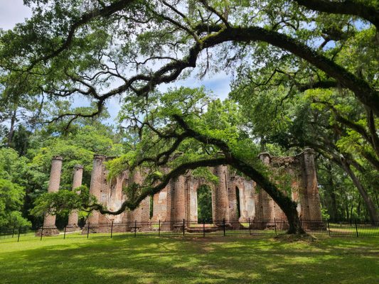 Old Sheldon Church Ruins by null