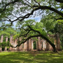 Old Sheldon Church Ruins - Old Sheldon Church Ruins outside of Beaufort, SC