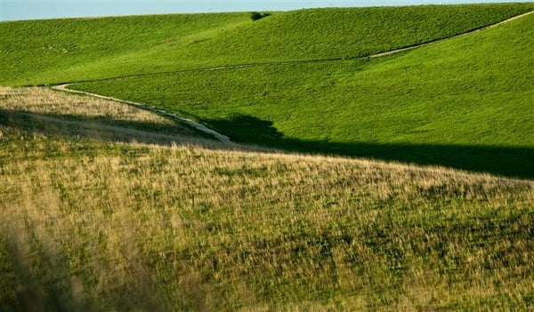 Konza Prairie Biological Station by null