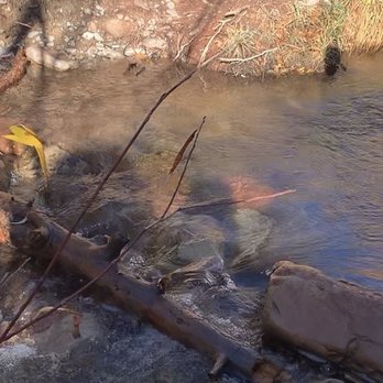 Kanarra Falls - Trail crossing - Hiking Near Me