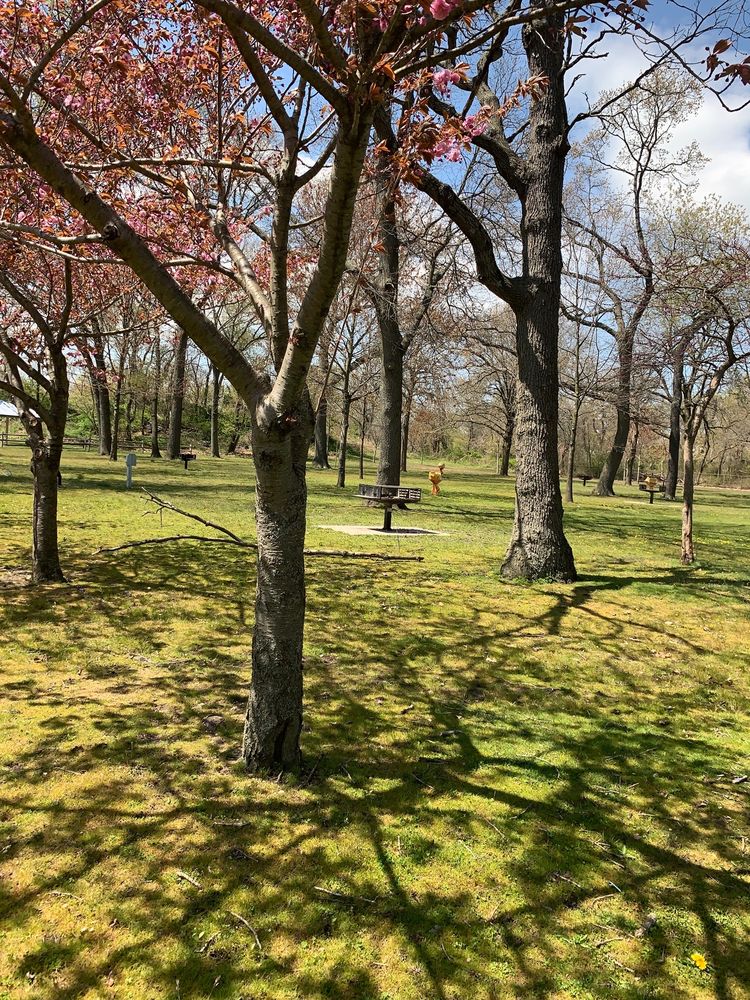 CANTIAGUE PARK 41 Photos & 25 Reviews Parks 480 W John St