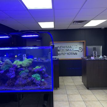 Newman's Automotive - Nice clean waiting room - Auto Repair Near Me - Austin, Texas Newman's Automotive - Nice clean waiting room - Auto Repair Near Me - Austin, Texas