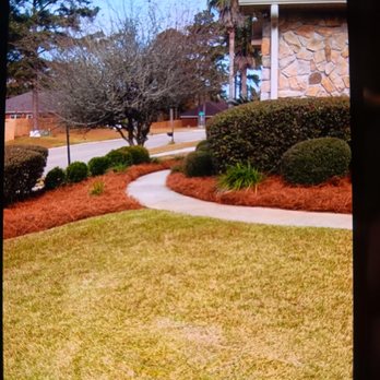 Isadore Johnson's Miscellaneous Services - Pinestraw installation. Isadorejohnsonsmiscellaneousservices.com or ijmsllc.com or 850 491 9226 - Landscaping Near Me Isadore Johnson's Miscellaneous Services - Pinestraw installation. Isadorejohnsonsmiscellaneousservices.com or ijmsllc.com or 850 491 9226 - Landscaping Near Me