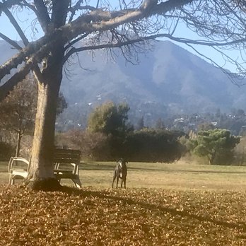 Mill Valley Dog Run - Dog Parks Near Me - Mill Valley, California Mill Valley Dog Run - Dog Parks Near Me - Mill Valley, California