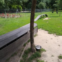 Plac Zabaw dla Psów - Park zabaw dla psów przy ul. Rybackiej