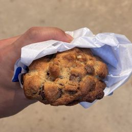 Chocolate Chip Walnut Cookie