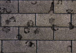 Slide of Invision Roofing