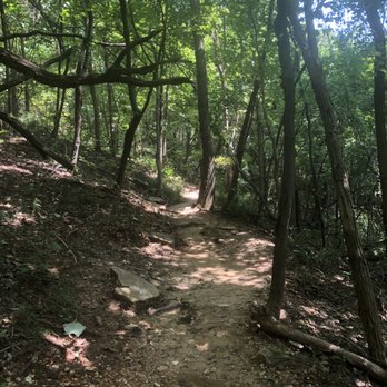 The Pinnacles - Hiking Near Me - Berea, Kentucky