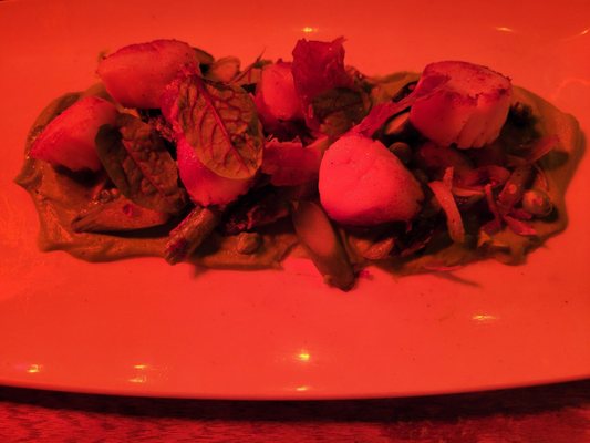 B&G Oysters by null