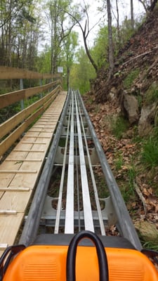 Smoky Mountain Alpine Coaster by null
