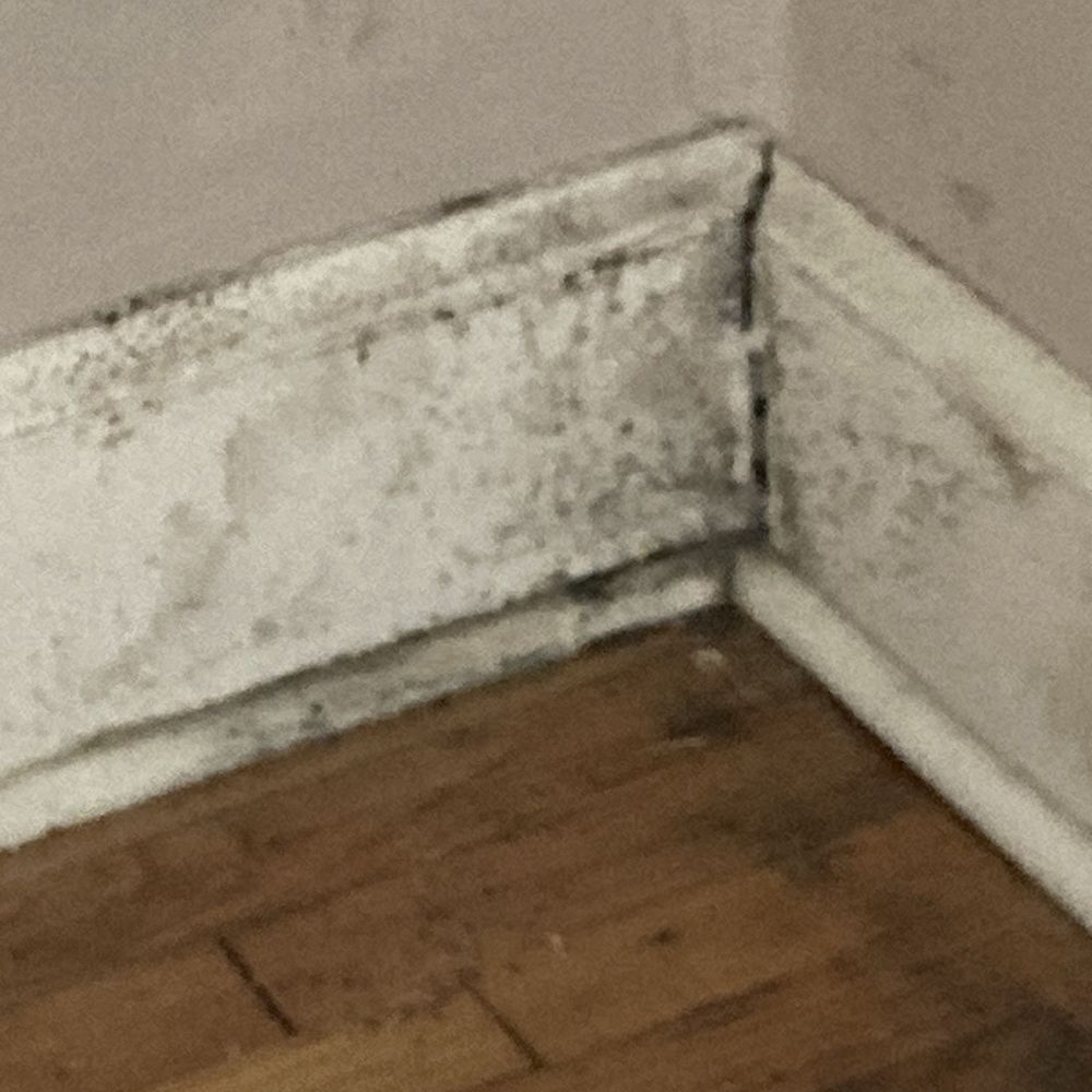 Bowen & Associates Realty - Water mild damage - Real Estate Agents Near Me - Sumter, South Carolina Bowen & Associates Realty - Water mild damage - Real Estate Agents Near Me - Sumter, South Carolina