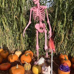 Post Street Farm