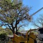 Photo of Sawyer Tree Service