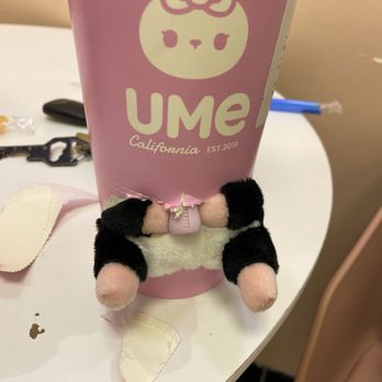 Ume Tea - Surprise plushy needs to be ripped out of the bottom of the surprise cup - Bubble Tea Near Me - North Hollywood, California Ume Tea - Surprise plushy needs to be ripped out of the bottom of the surprise cup - Bubble Tea Near Me - North Hollywood, California
