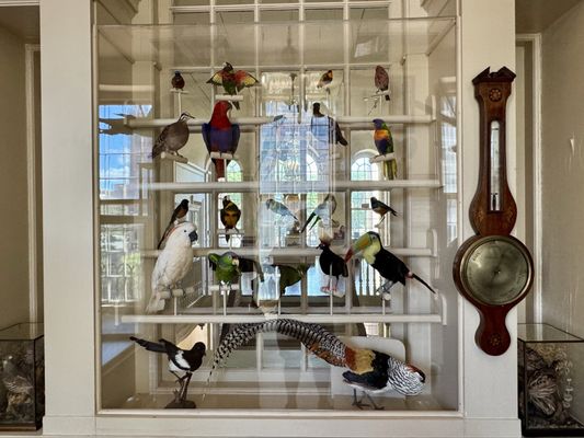 Connecticut's Old State House by null