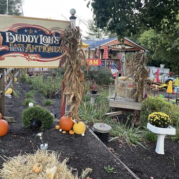 Buddy Lou's Eats Drinks & Antiques - New American Near Me - Hancock, Maryland