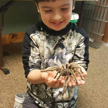 Daisy Child Development Center - Holding a spider after learning all about spiders - Child Care & Day Care Near Me - Oakland, California Daisy Child Development Center - Holding a spider after learning all about spiders - Child Care & Day Care Near Me - Oakland, California