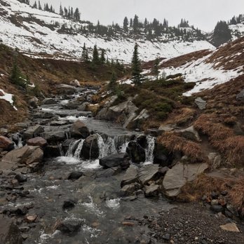 Evergreen Escapes - Tours Near Me - Seattle, Washington
