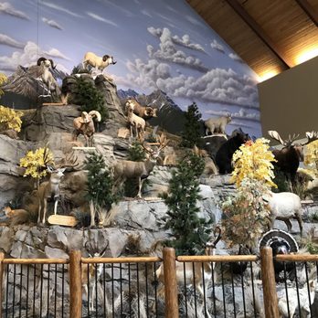 Cabela's - Guns & Ammo Near Me - Thornton, Colorado