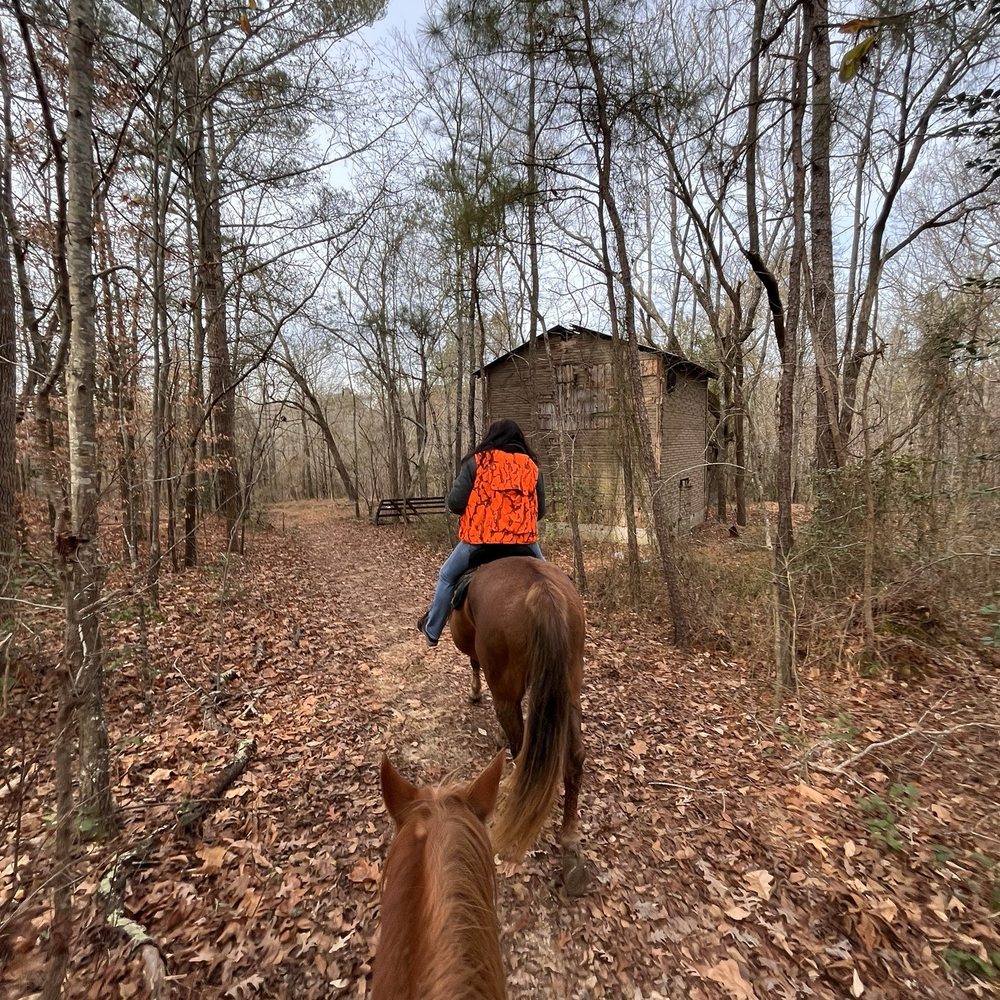 C&C Farm - Horseback Riding Near Me - Louisburg, North Carolina