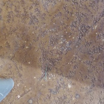 SoliStone & Concrete Care - Spots from the air bubbles - Flooring Near Me SoliStone & Concrete Care - Spots from the air bubbles - Flooring Near Me