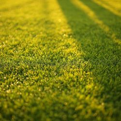 Drez Lawn Care Services - Lawn Maintenance