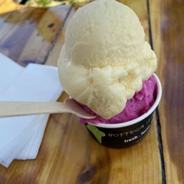 Passion Fruit Sorbet