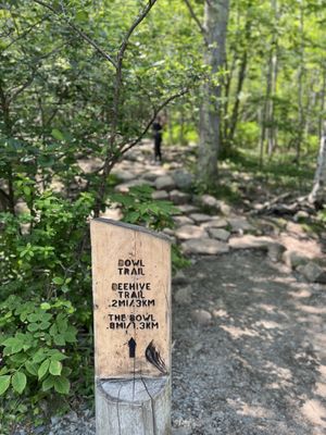 Beehive Trail by null