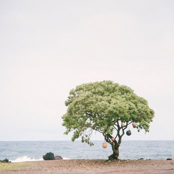 Samantha Polanco Photography - The road to Hana, Maui - Session Photography Near Me Samantha Polanco Photography - The road to Hana, Maui - Session Photography Near Me