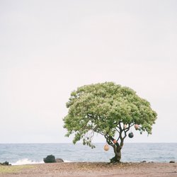 Samantha Polanco Photography - The road to Hana, Maui