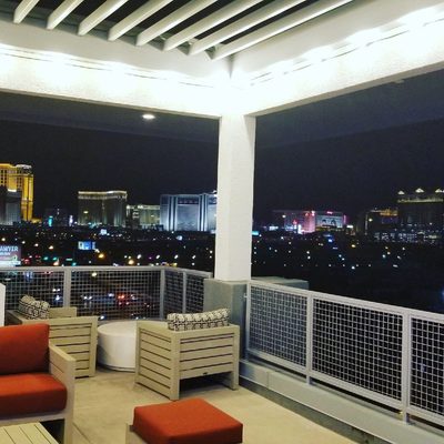 Green Leaf Lotus by null