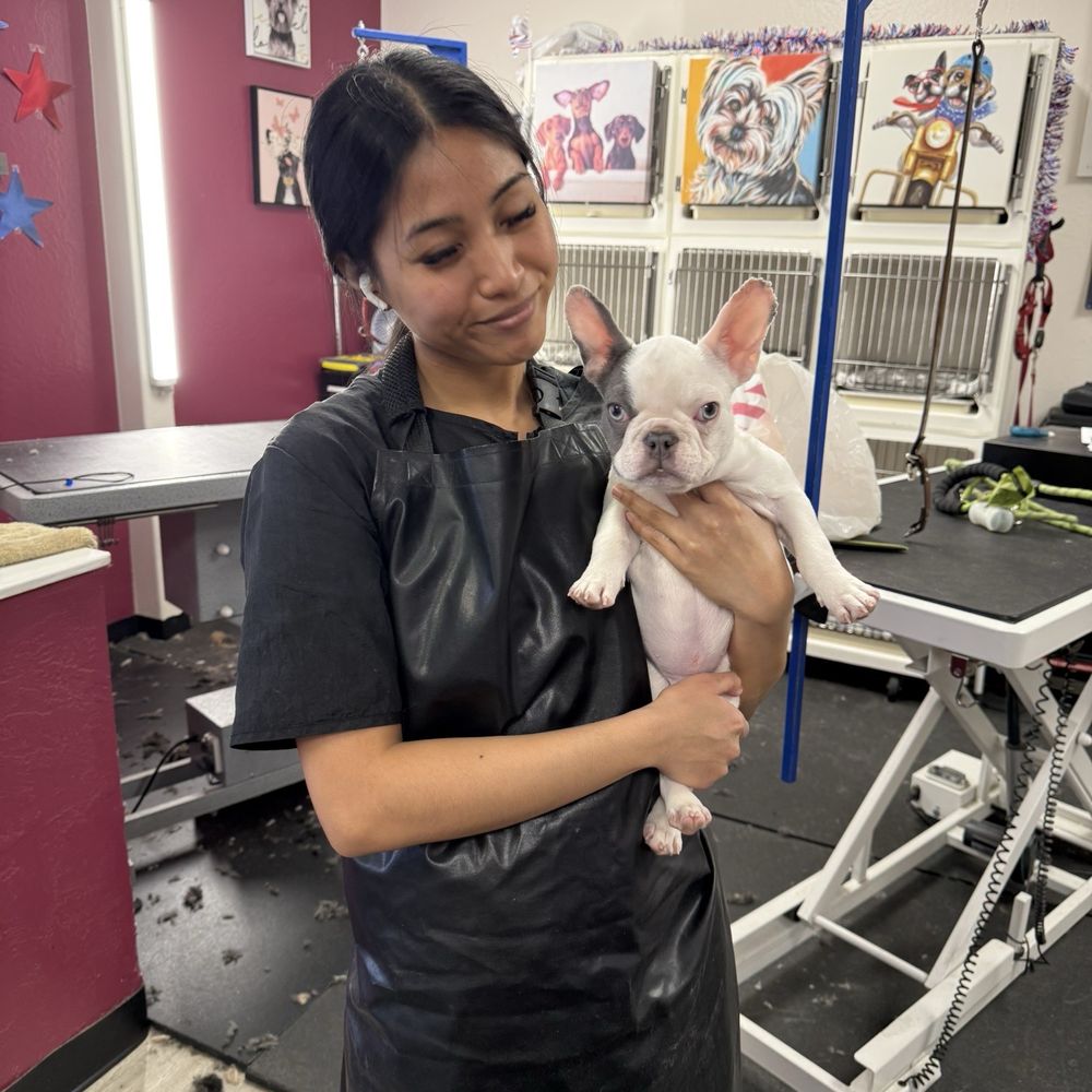 Rachel's Dog Grooming - Pet Groomers Near Me - Milpitas, California Rachel's Dog Grooming - Pet Groomers Near Me - Milpitas, California