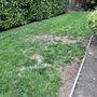 Ark's Rotarea Aeration Service