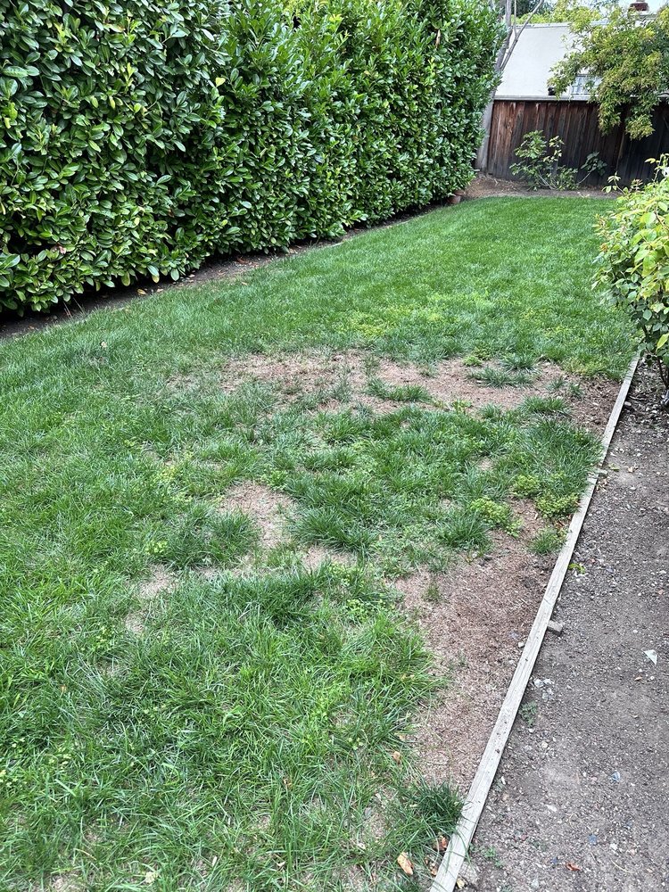 Ark's Rotarea Aeration Service - tree service in San Jose, CA