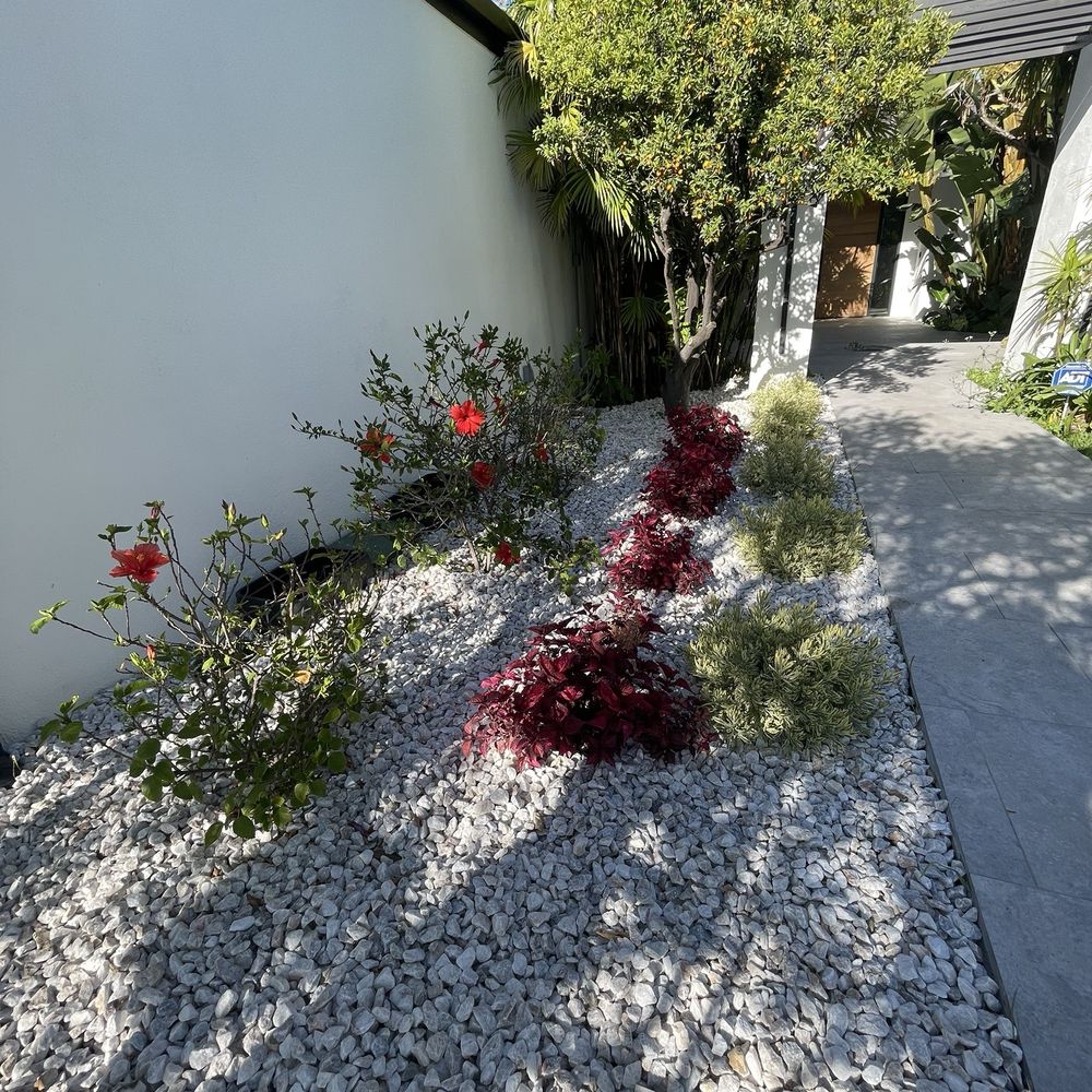 The Standard Design Group Nurseries - Nurseries & Gardening Near Me - North Hollywood, California