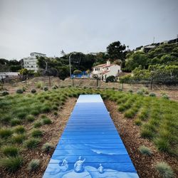 Canon Street Pocket Park