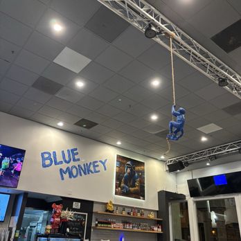 Blue Monkey Cafe & Restaurant - Vietnamese Near Me - San Jose, California
