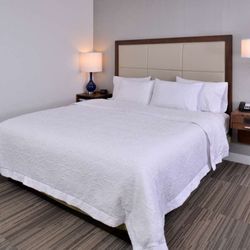 Hampton Inn & Suites Ann Arbor West - Guest room