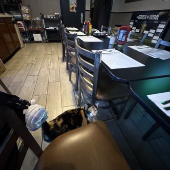 Zebra Club - Dive Bars Near Me - Sacramento, California Zebra Club - Dive Bars Near Me - Sacramento, California