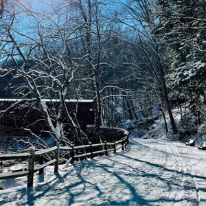 WISSAHICKON VALLEY TRAIL - 242 Photos & 140 Reviews - Parks - Valley