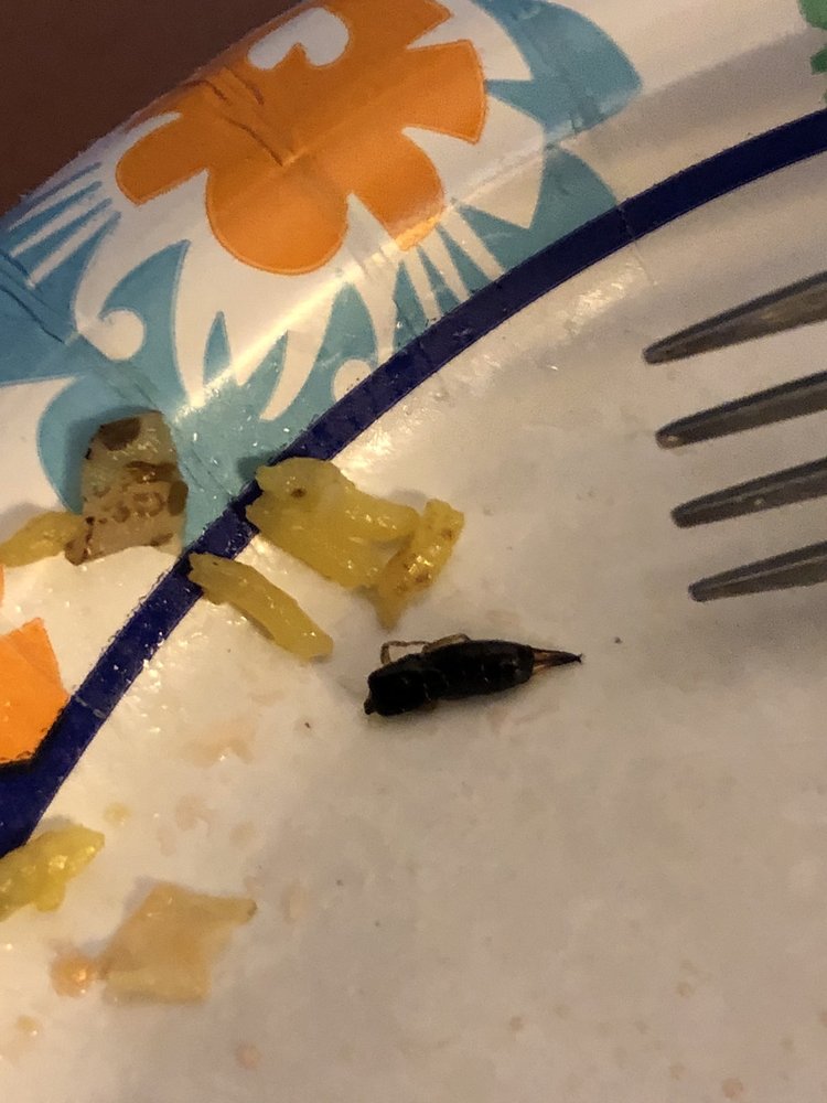 THE FORTUNE COOKIE 22 Photos & 46 Reviews 1705 S Beacon Blvd, Grand Haven, Michigan