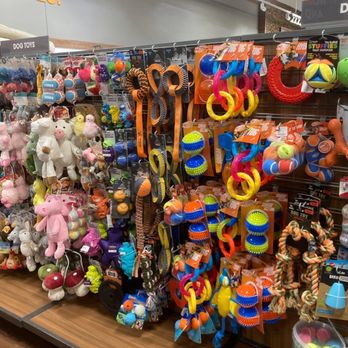 Sierra - Sierra -- dog toys (predominantly stuffies, which are not great for dogs, especially if your kids have similar toys!) - Sports Wear Near Me - Exton, Pennsylvania