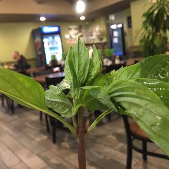 Pho 99 - Vietnamese Near Me - Bellingham, Washington Pho 99 - Vietnamese Near Me - Bellingham, Washington