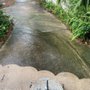 Photo of Taylor Boys Power Washing