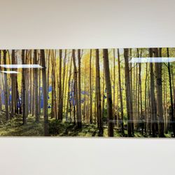 Coolsculpting Center of Boulder at Cedalion Health - Private Waiting Area